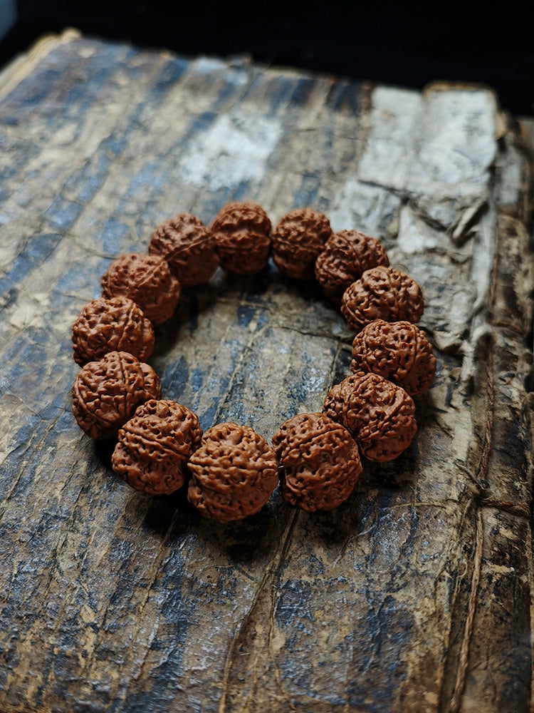 Nepal Dragon Claw Large Rudraksha Bodhi Bead Bracelet – Buddha3bodhi
