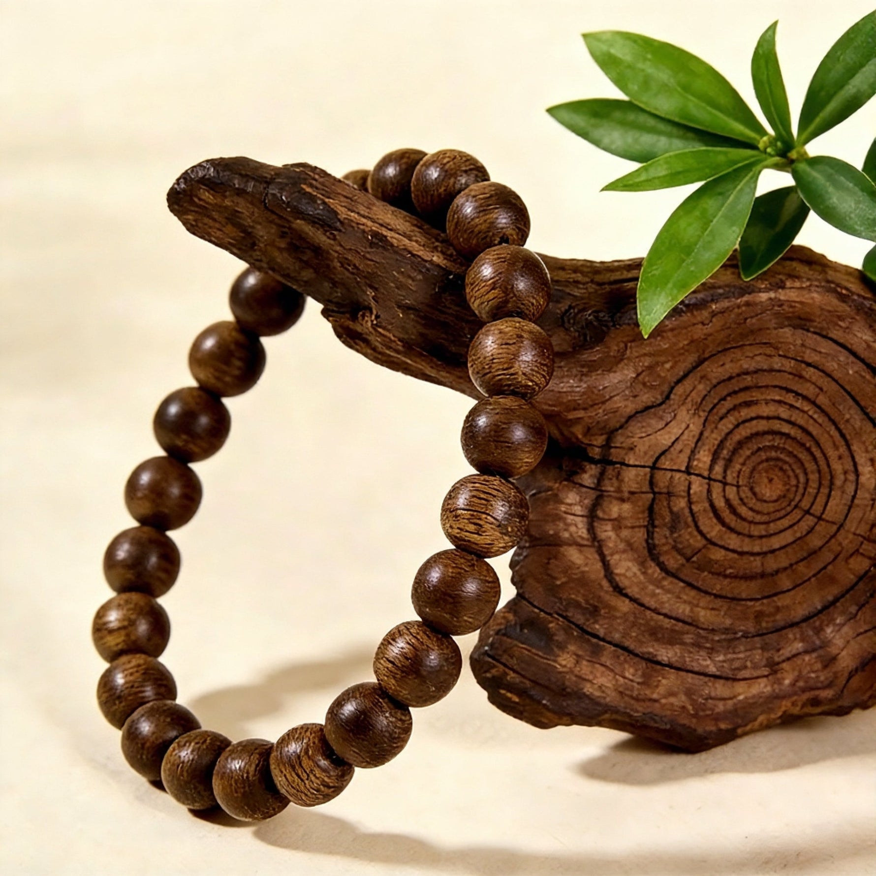 Agarwood Beginner's Guide: Origins, Types, Scents, and How to Choose