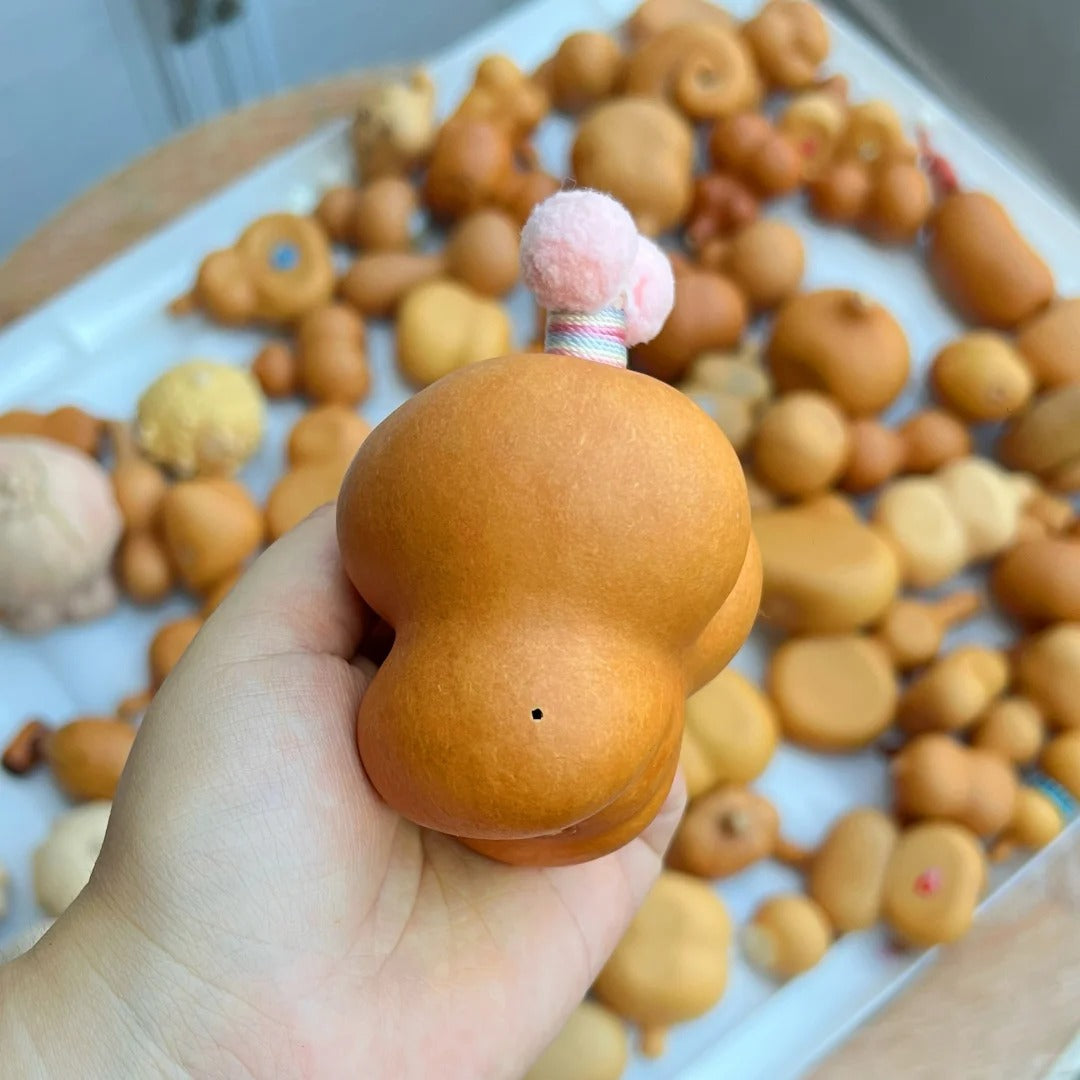 How to Prevent Insects in Wenwan Gourds A Complete Care Guide