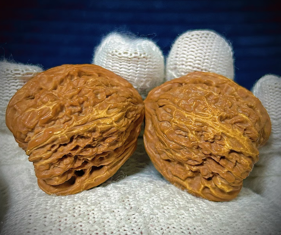 How to Spot Yellowing Walnuts and Respond the Right Way