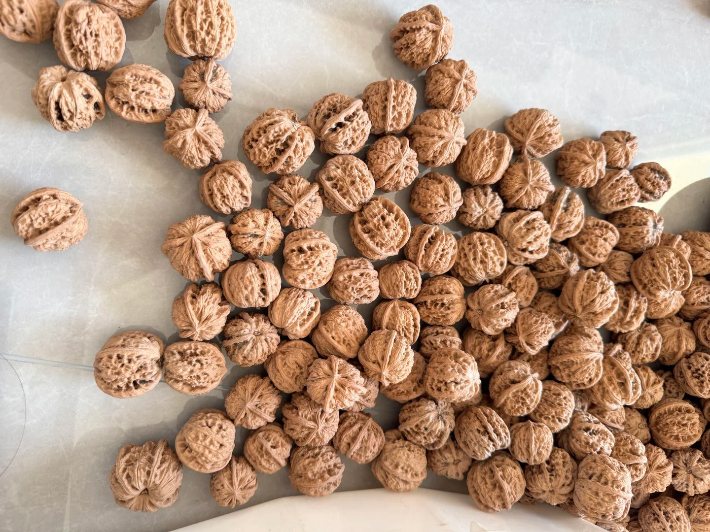 Wenwan Walnut Pairing The Art of Finding Perfect Matched Pairs
