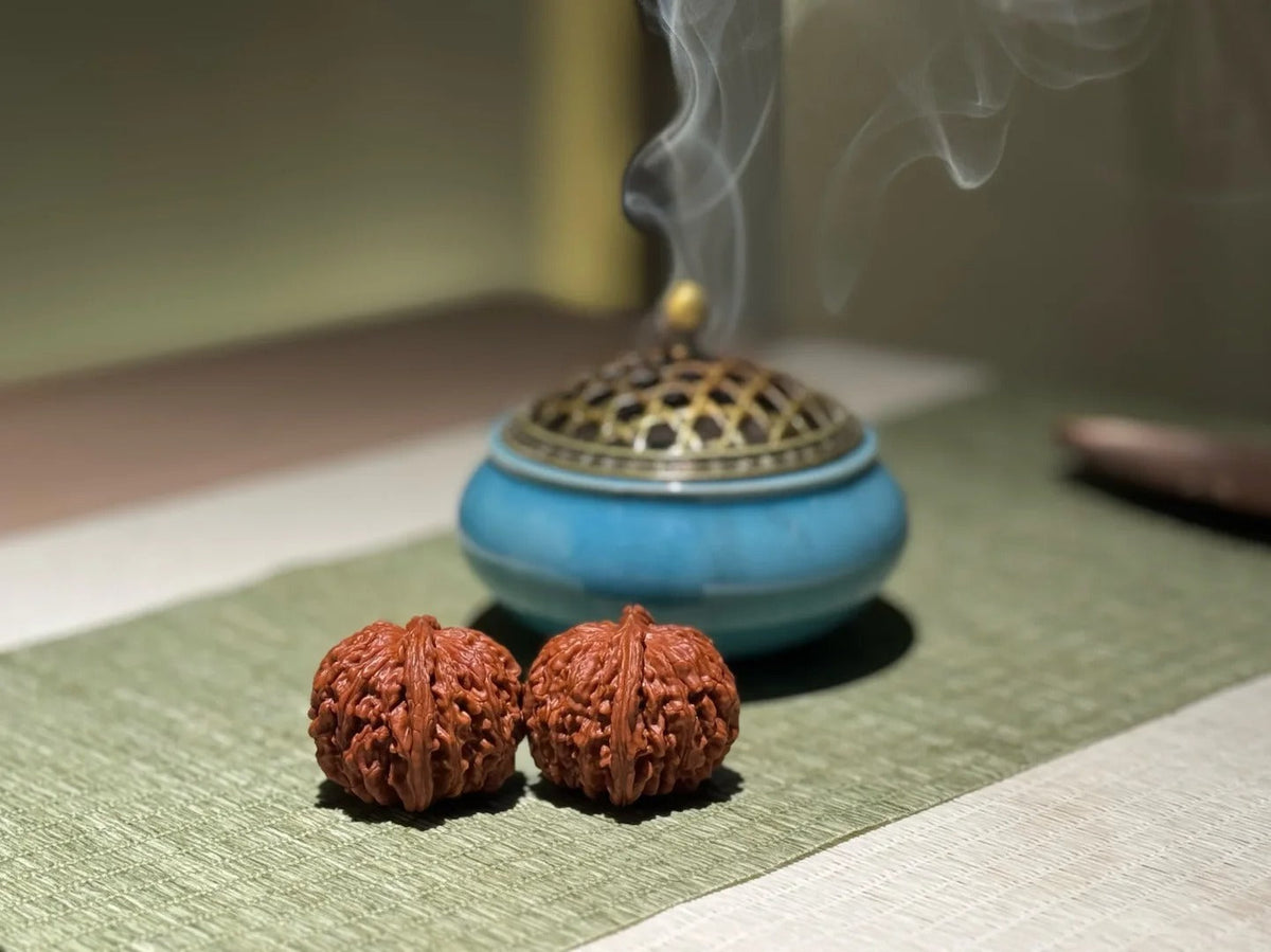 Wenwan Walnut Glossary: Chinese Walnut Terms Every Beginner Should Know