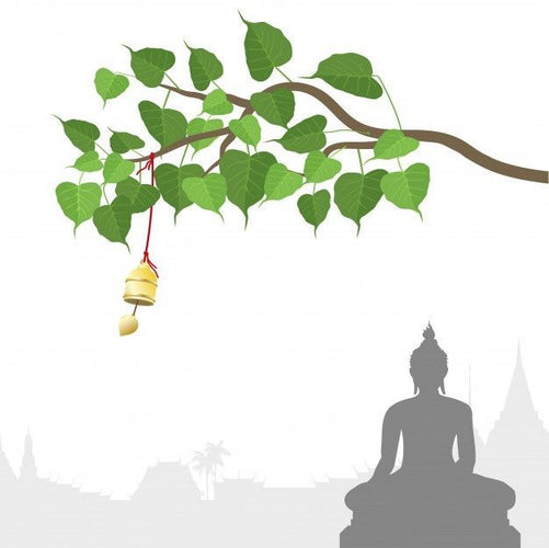 The Bodhi Tree: A Symbol of Enlightenment, Wisdom, and Spiritual Growth