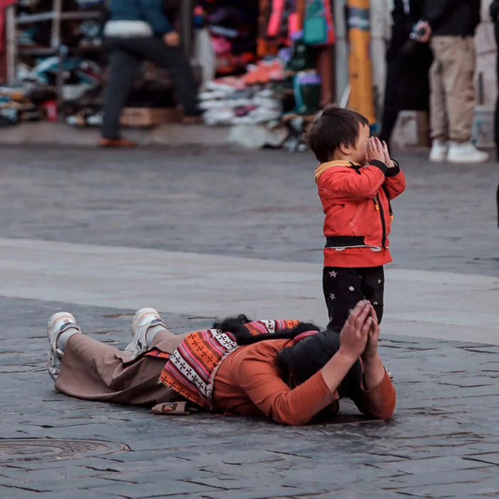 Pilgrims In Prostrate Worship In Tibet