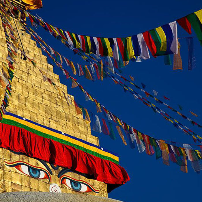 What Are the Distinct Features of Tibetan Buddhism?