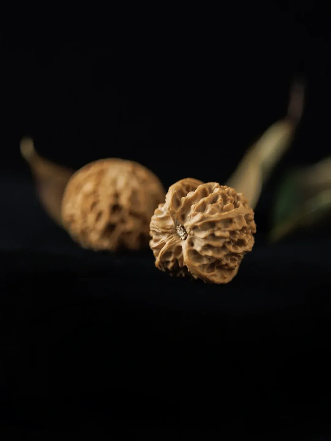 Regular Walnut Pairs