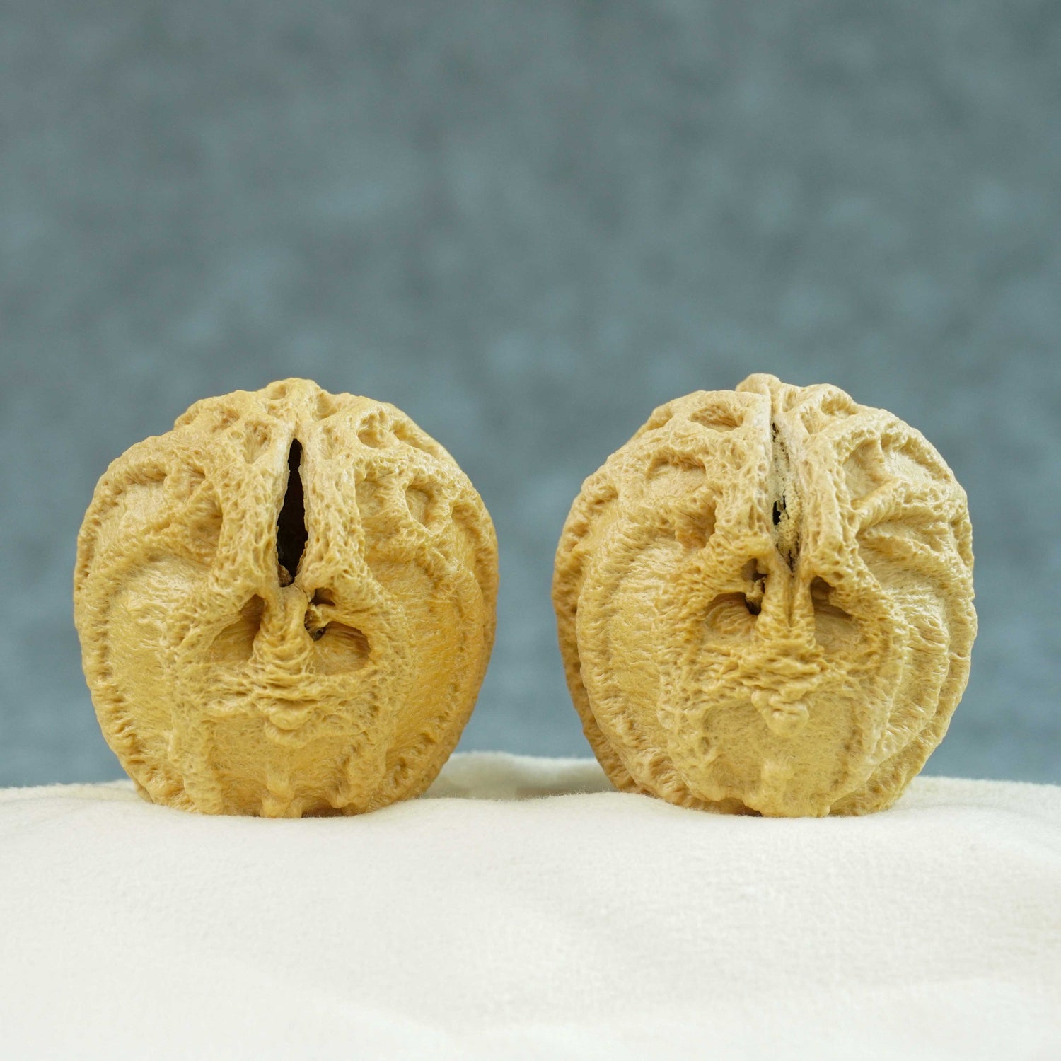 42mm Indonesian Qiankun Ghost Face Walnut | One-of-a-Kind Collector Pair | 072801