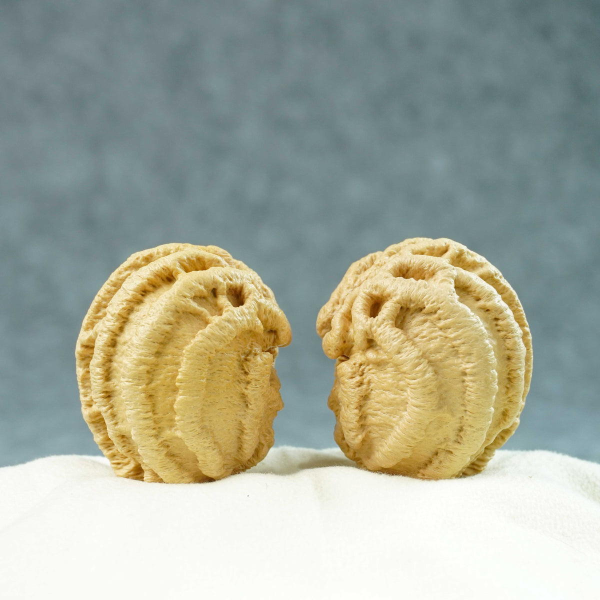 43mm Indonesian Qiankun Ghost Face Walnut | One-of-a-Kind Listing |100904