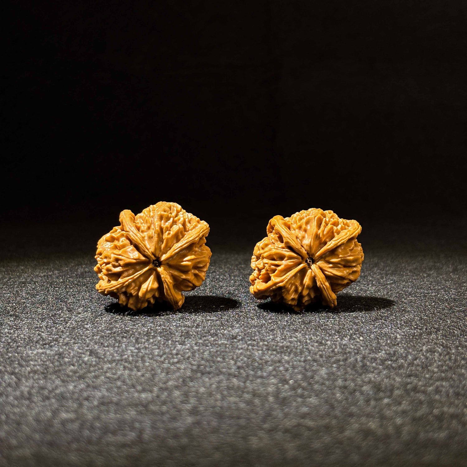 44mm Jade Seal Four-Ridge Walnut | One-of-a-Kind Listing