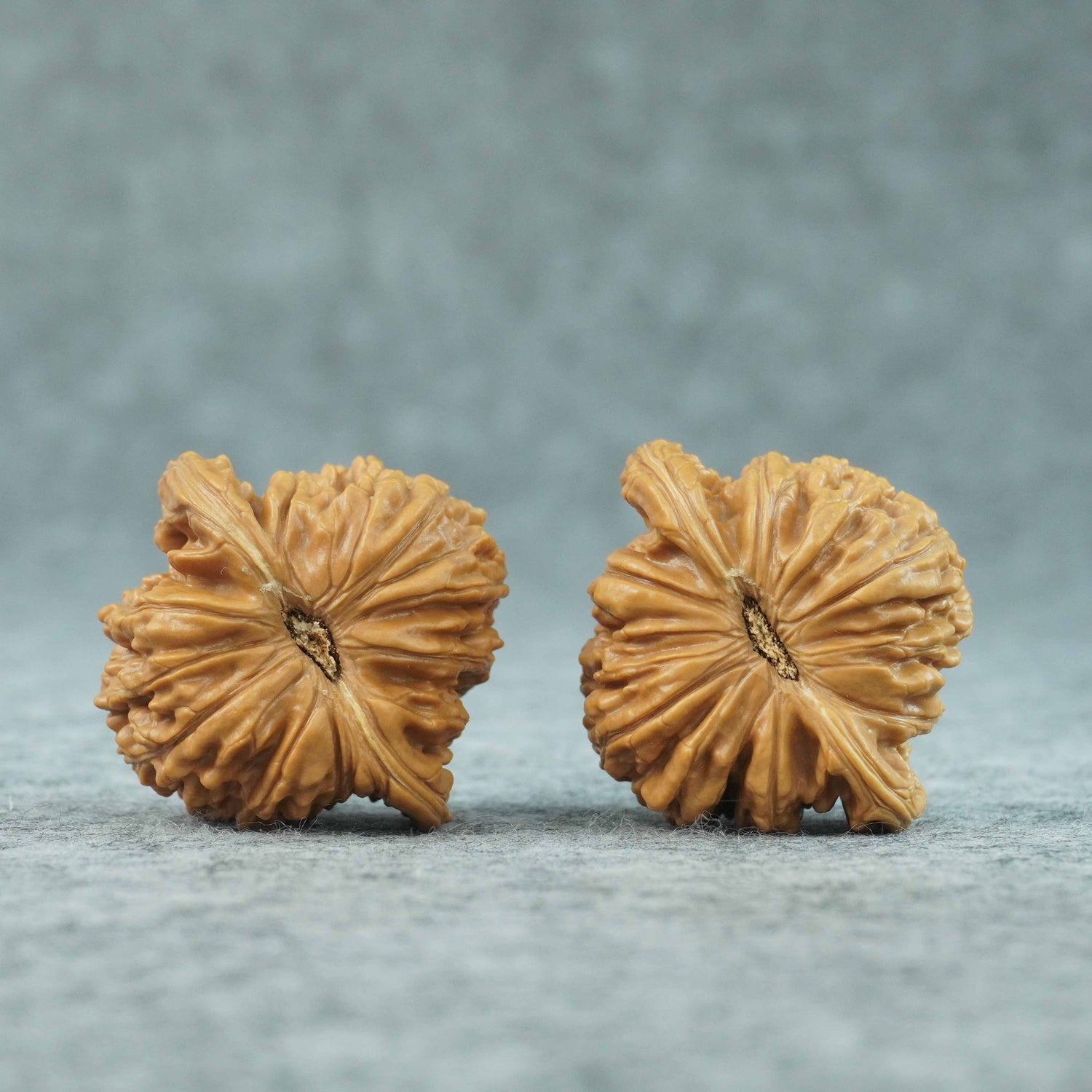 47mm “Graduate Grade” Tower King Four-Tower Wenwan Walnut Pair | One-of-a-Kind Listing | 070401