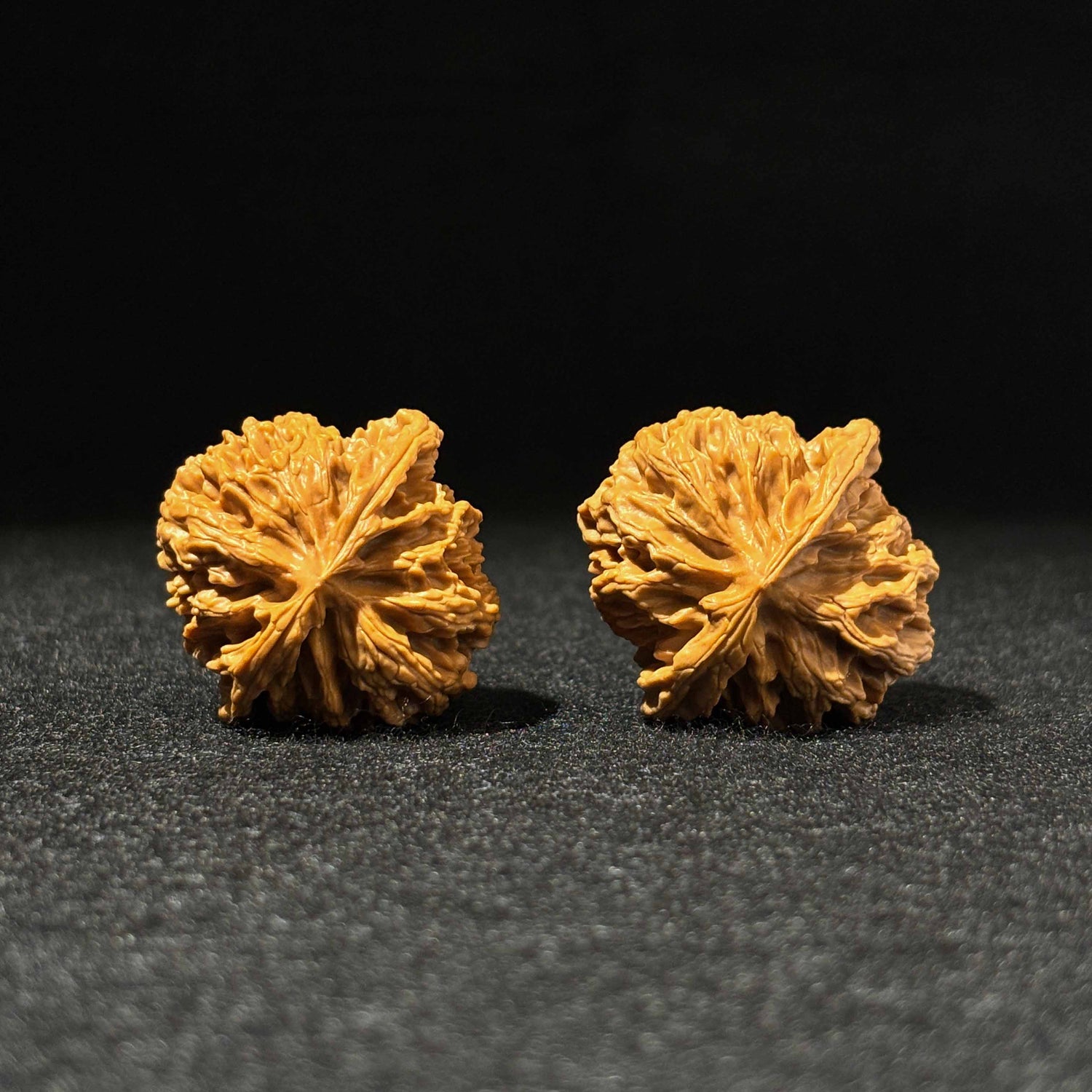 42mm Apple Garden Walnut 52003| One-of-a-Kind Listing