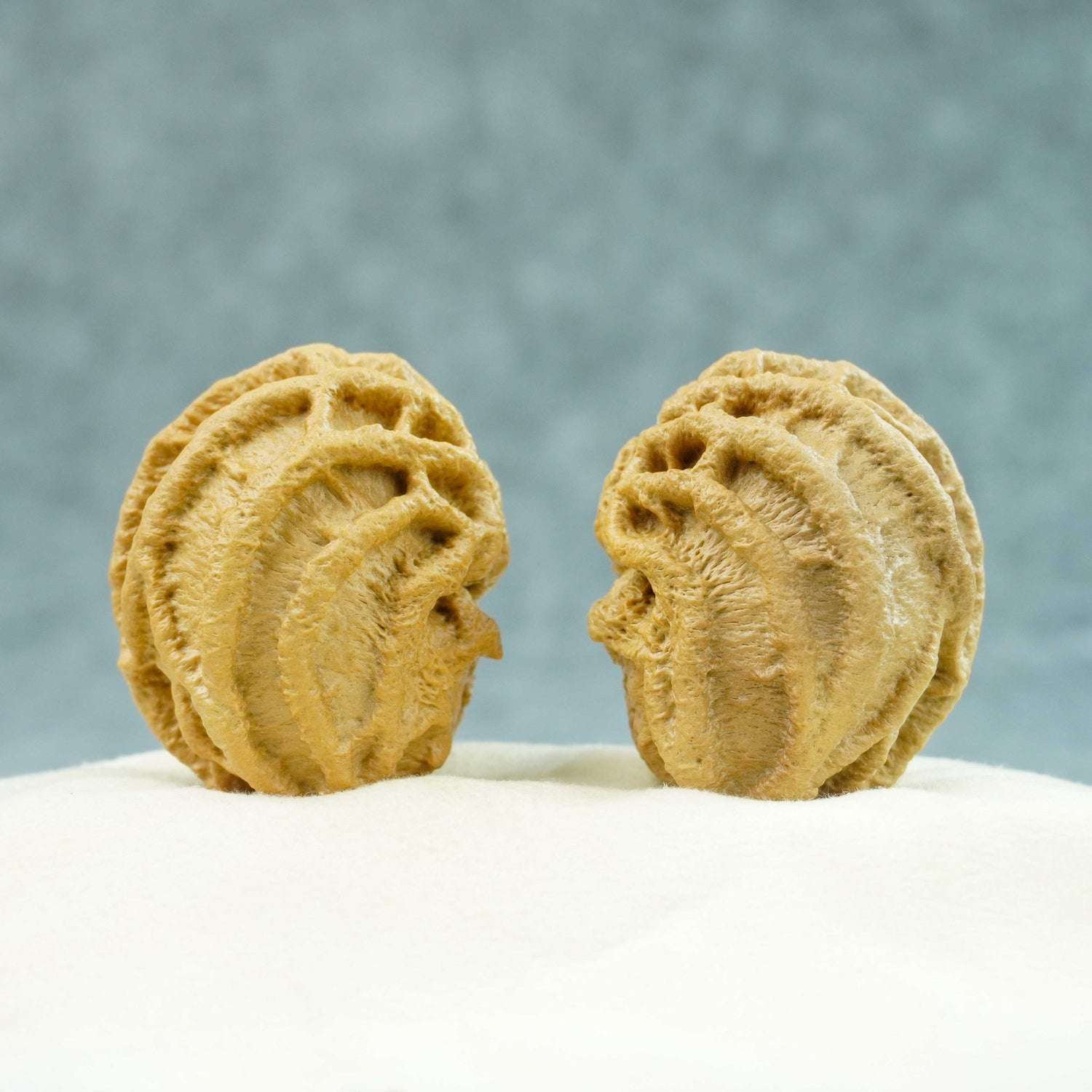 40mm Indonesian Qiankun Ghost Face Walnut | Monkey Face Expression | One-of-a-Kind Pair | 072401
