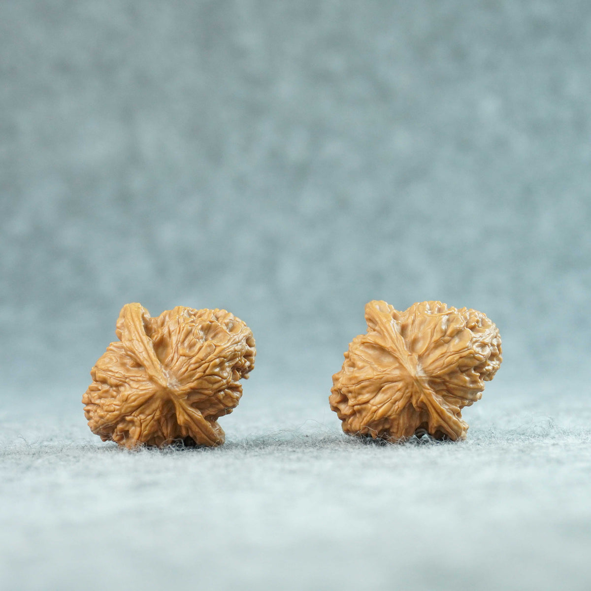 34mm Wild Wolf Walnut Pair | One-of-a-Kind Listing | 092315