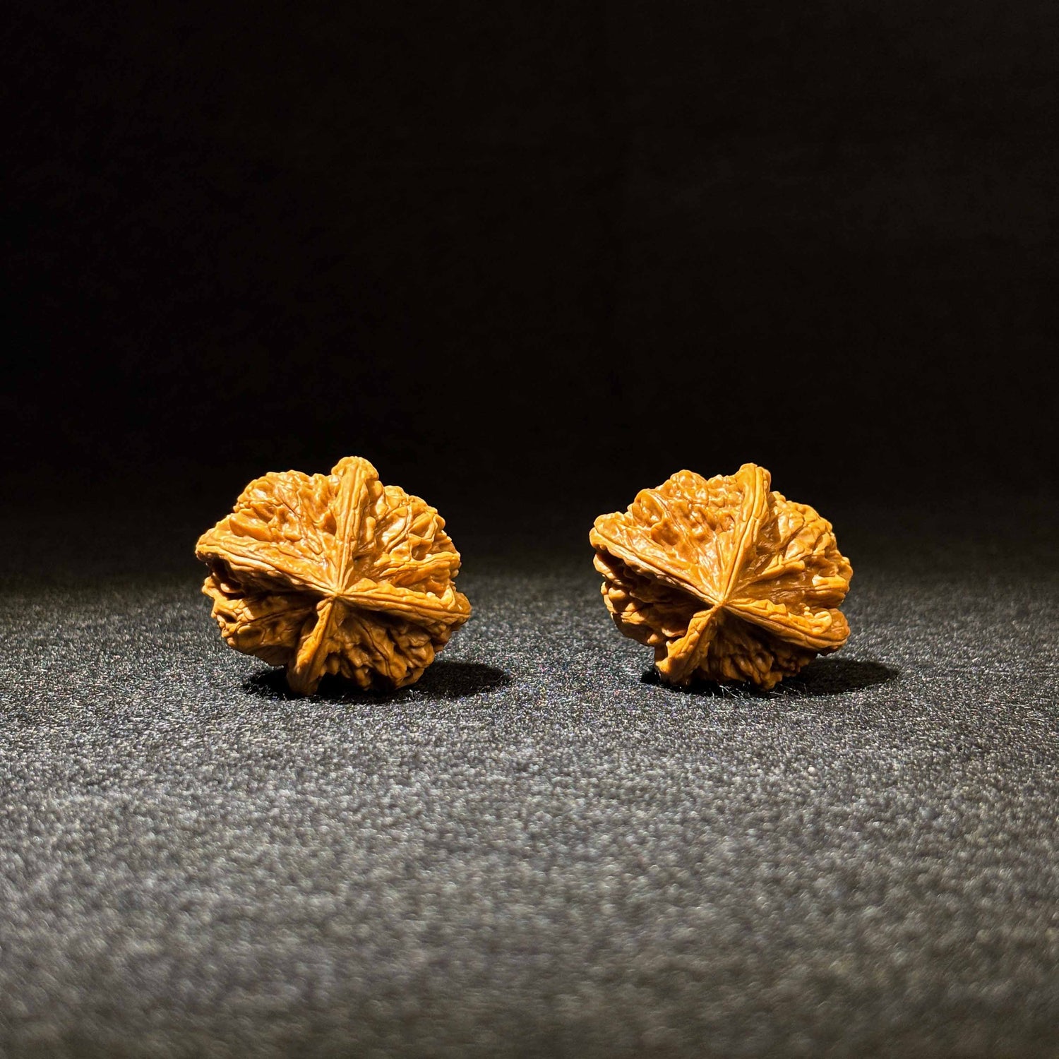 44mm Jade Seal Four-Ridge Walnut | One-of-a-Kind Listing
