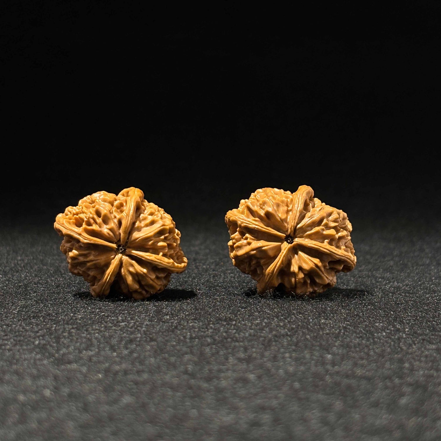 44mm Jade Seal Four-Ridge Walnut | One-of-a-Kind Listing
