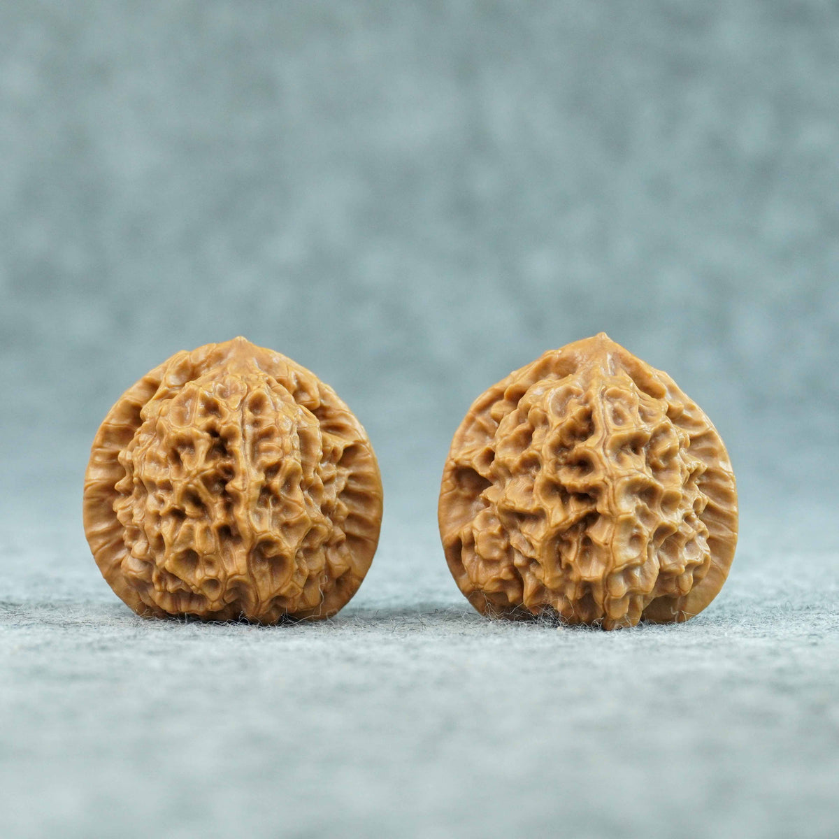 37mm Caviar Pattern Rolling Stone Lion Head Walnut | One-of-a-Kind Listing | 092412