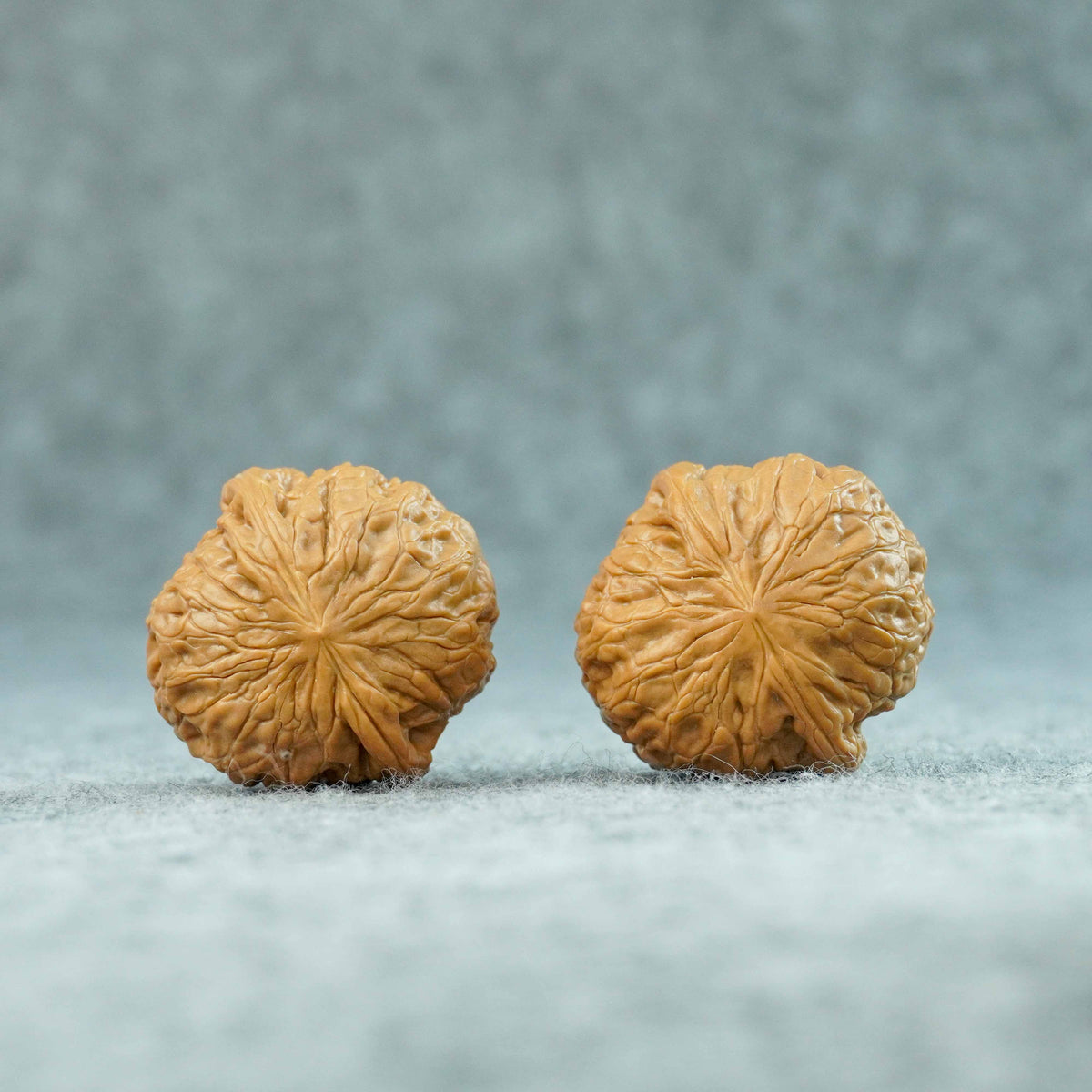 38mm Iron Hammer “Little Sister” Walnut | One-of-a-Kind Matched Pair | 092013