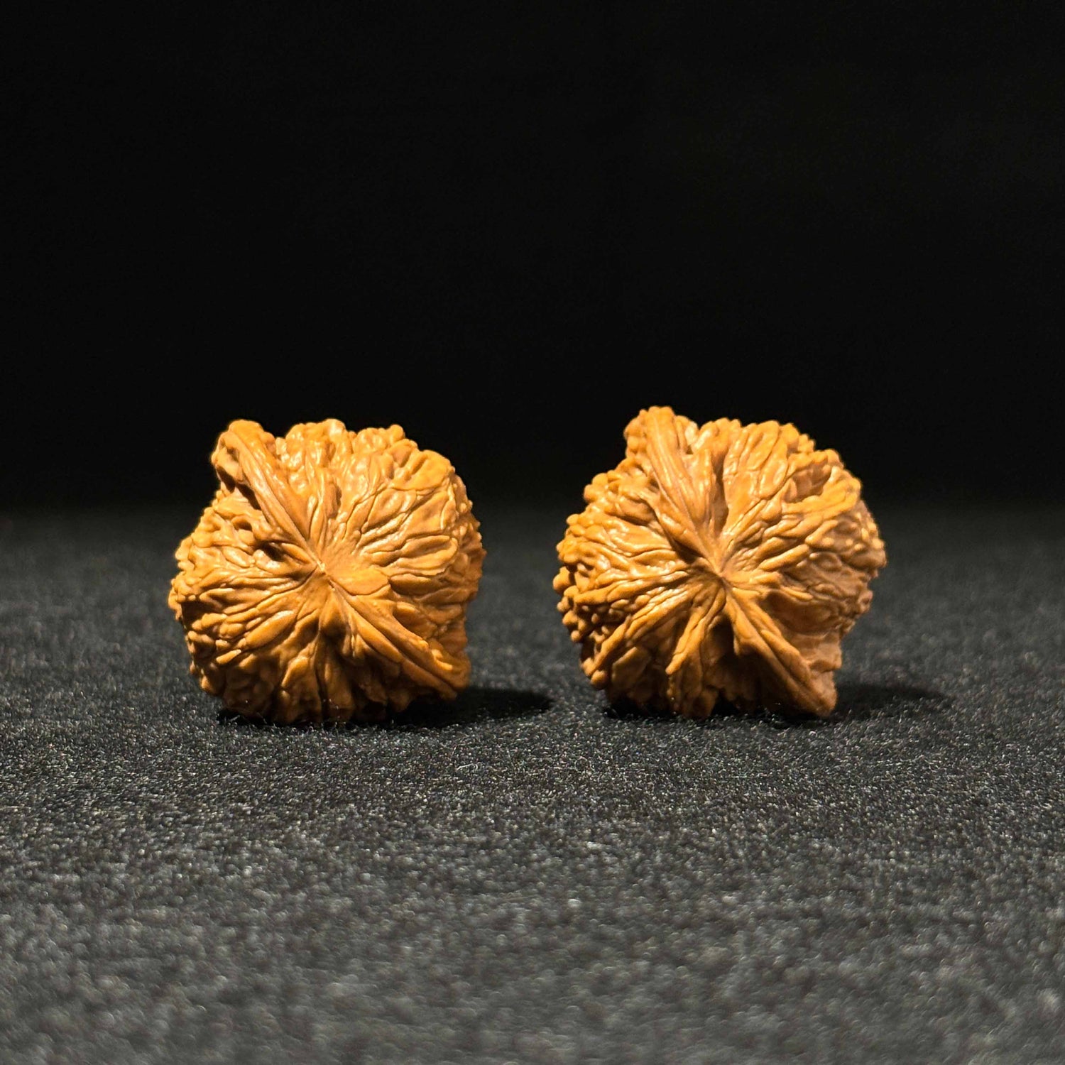 40mm Mopan Walnut 52001| One-of-a-Kind Listing