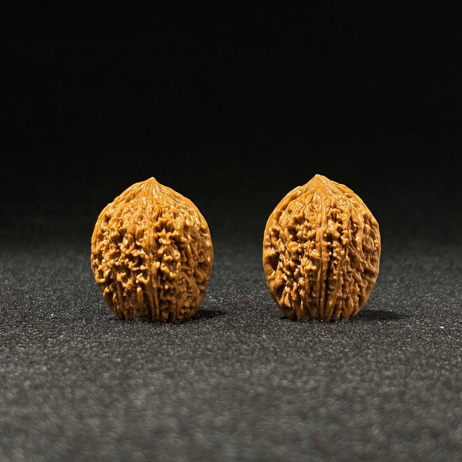 35mm Garlic-Head Walnut | One-of-a-Kind Listing
