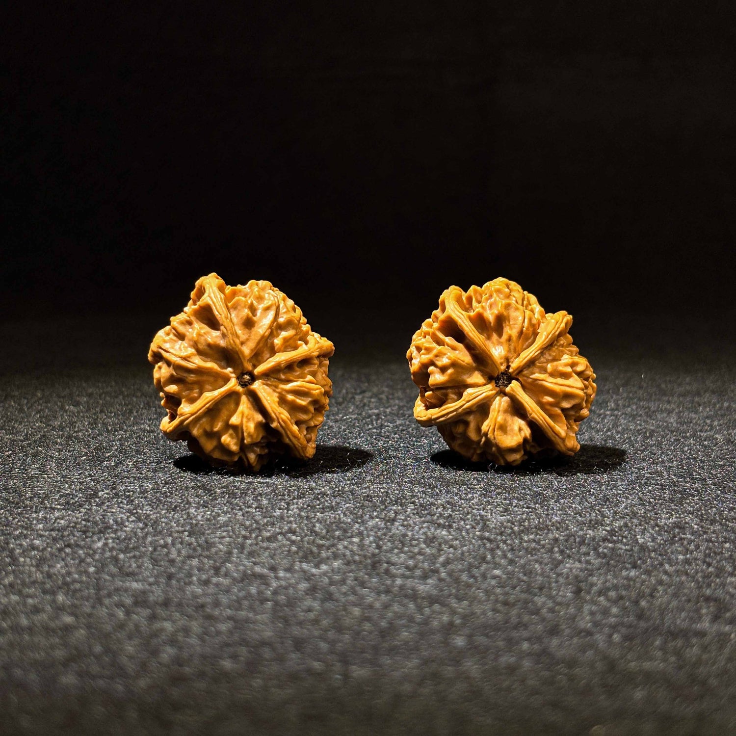 43mm Jade Seal Four-Ridge Walnut | One-of-a-Kind Listing