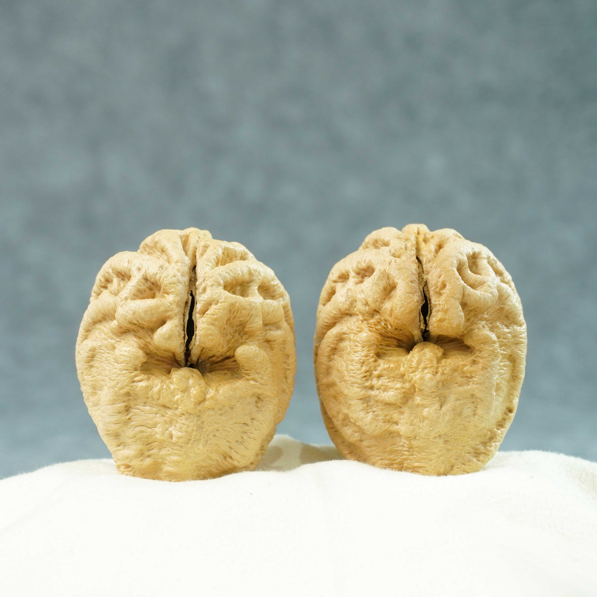 45mm Indonesian Qiankun Ghost Face Walnut | One-of-a-Kind Listing |100903