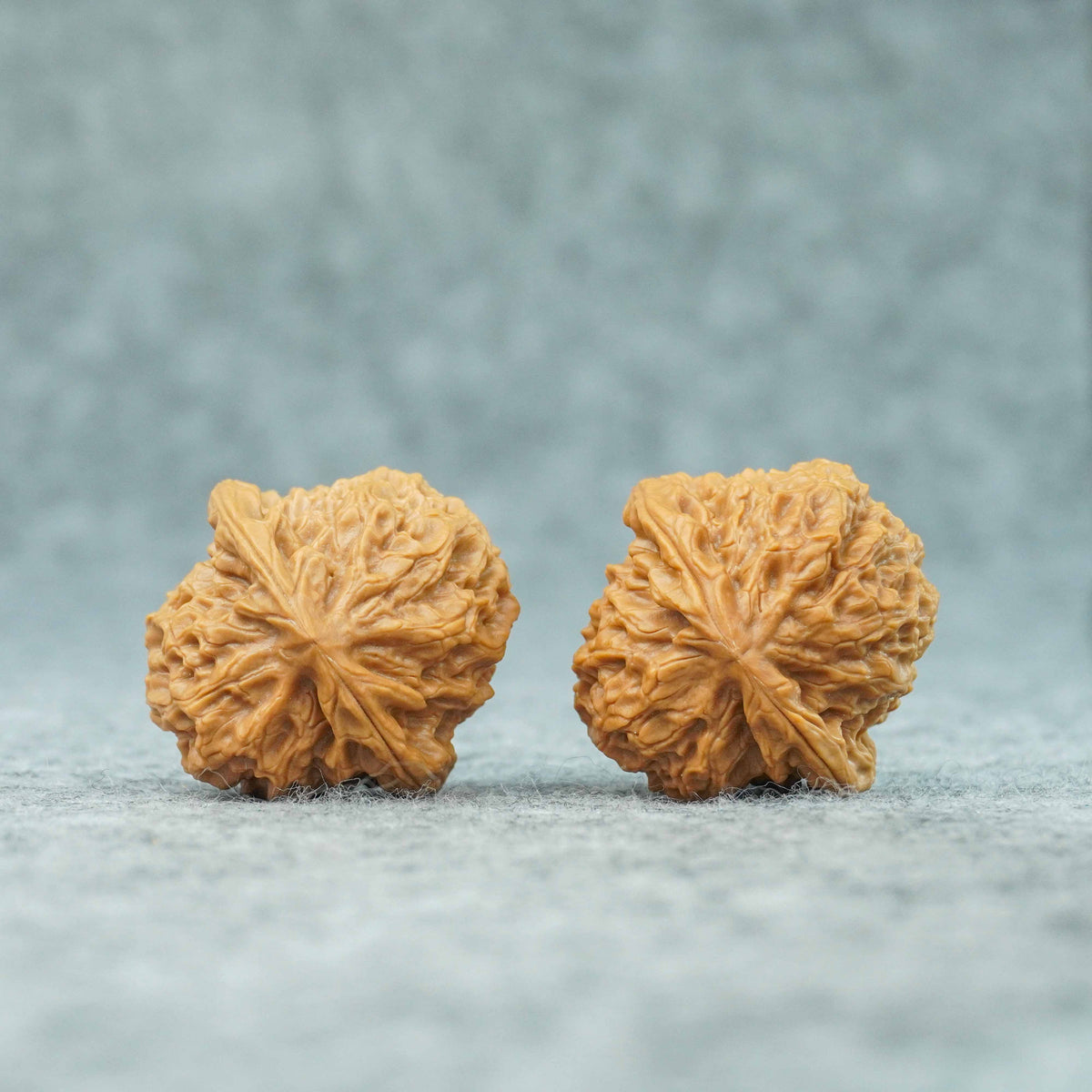 37mm Caviar Pattern Rolling Stone Lion Head Walnut | One-of-a-Kind Listing | 092417