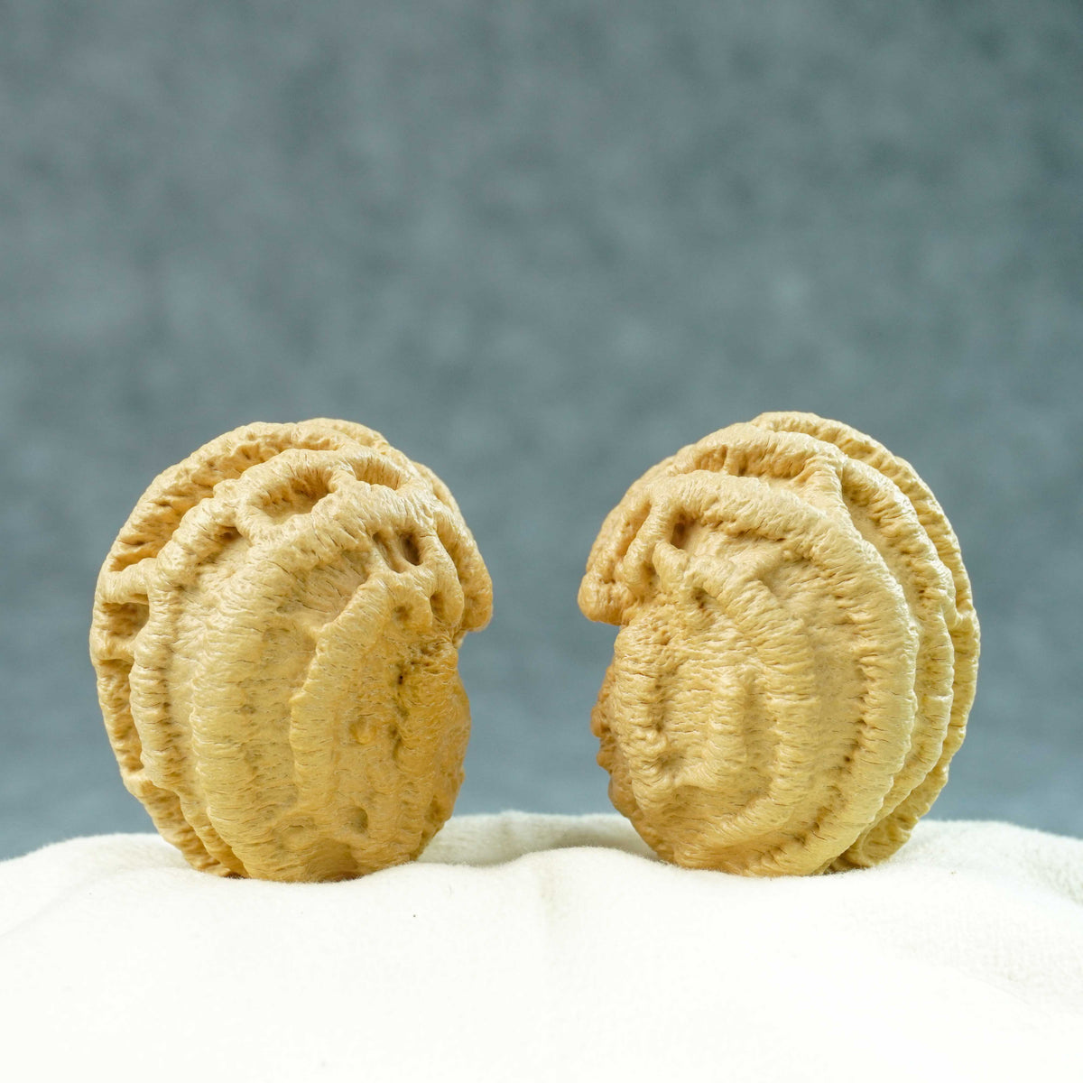 43mm Indonesian Qiankun Ghost Face Walnut | One-of-a-Kind Listing |100906