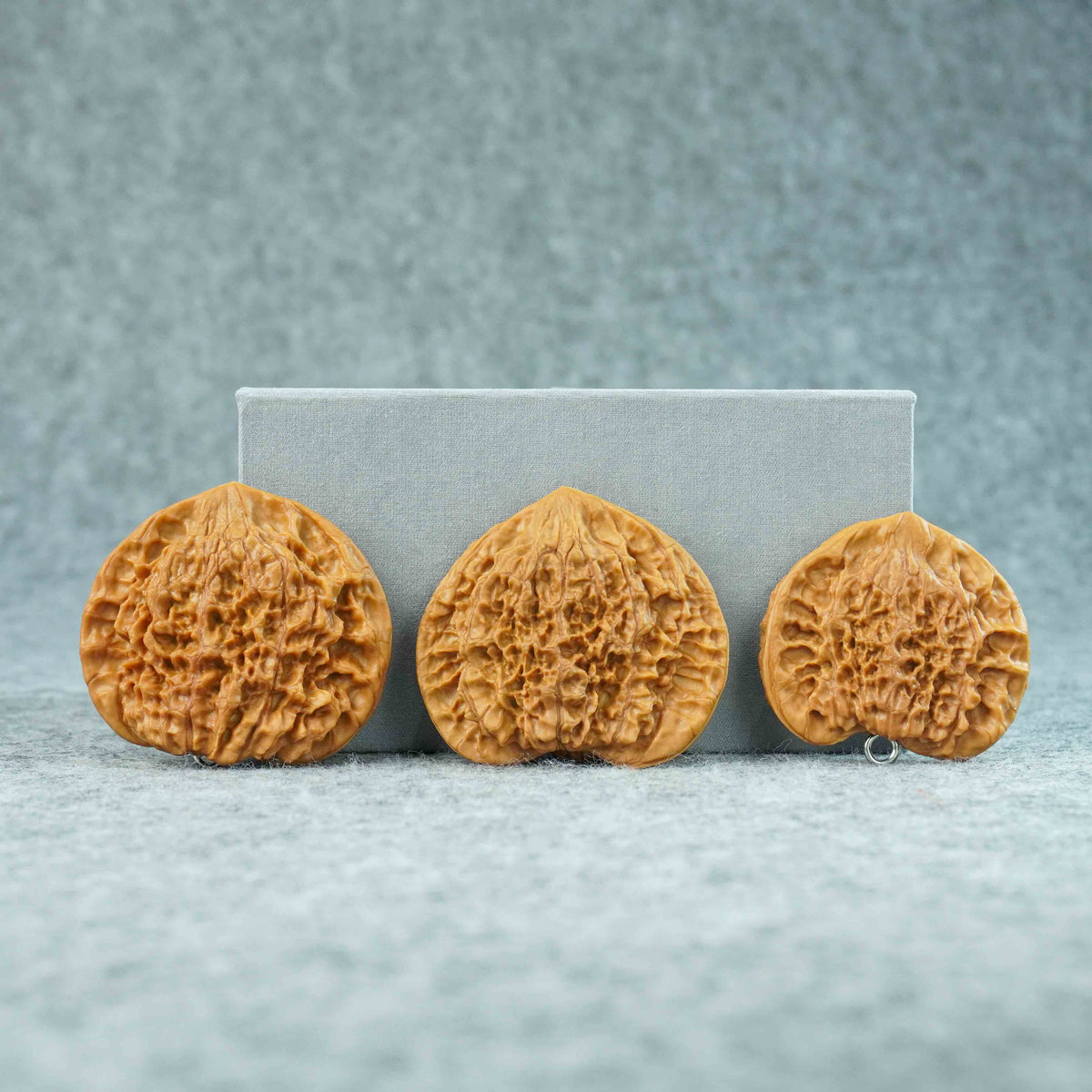 Clamped Flat-Cake Official Hat Walnut  | Ultra-Low Profile Wenwan Walnut