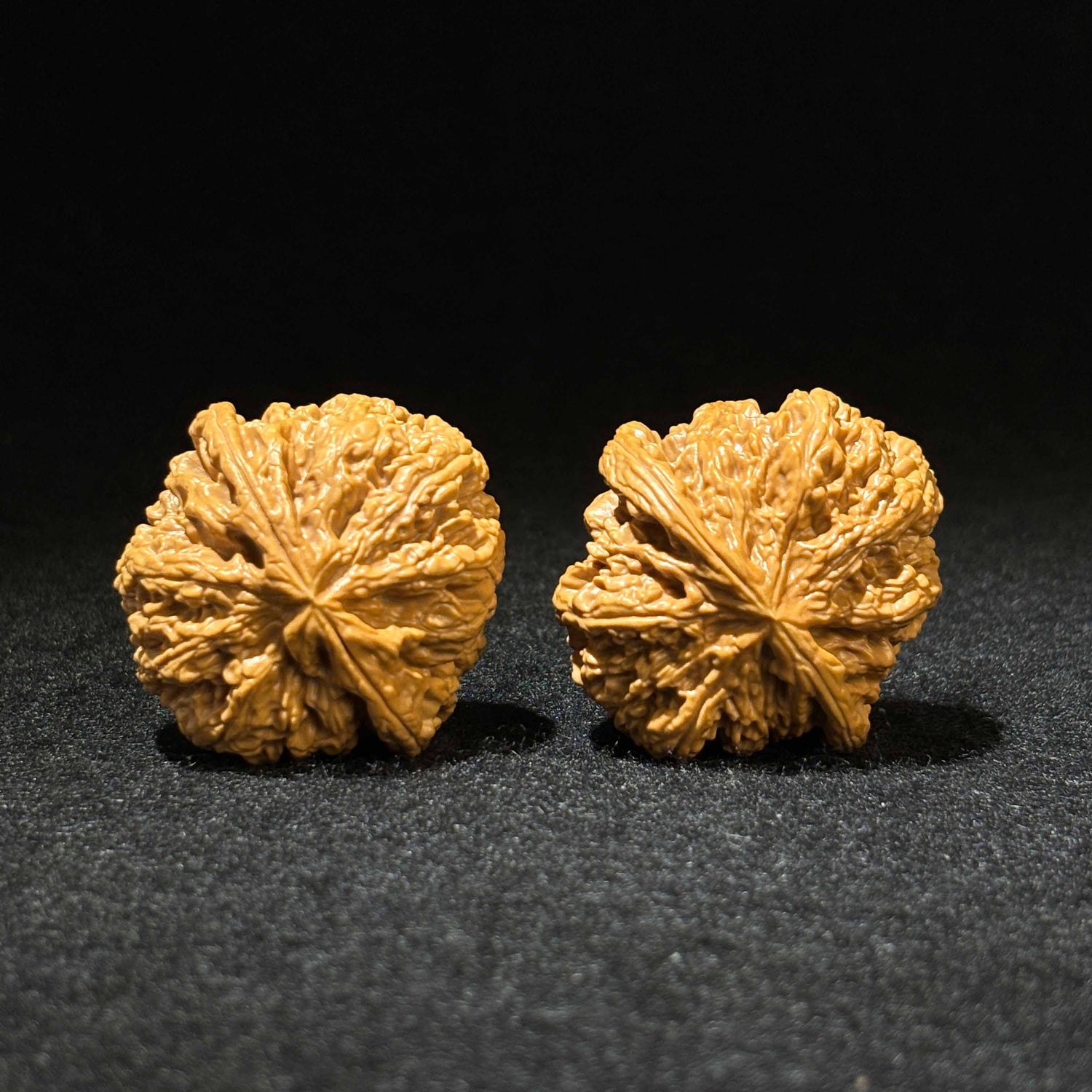 47mm Thick Ridge Lion Head Walnuts| Low Profile | One-of-a-Kind Pair | Super Value Deal |  061807