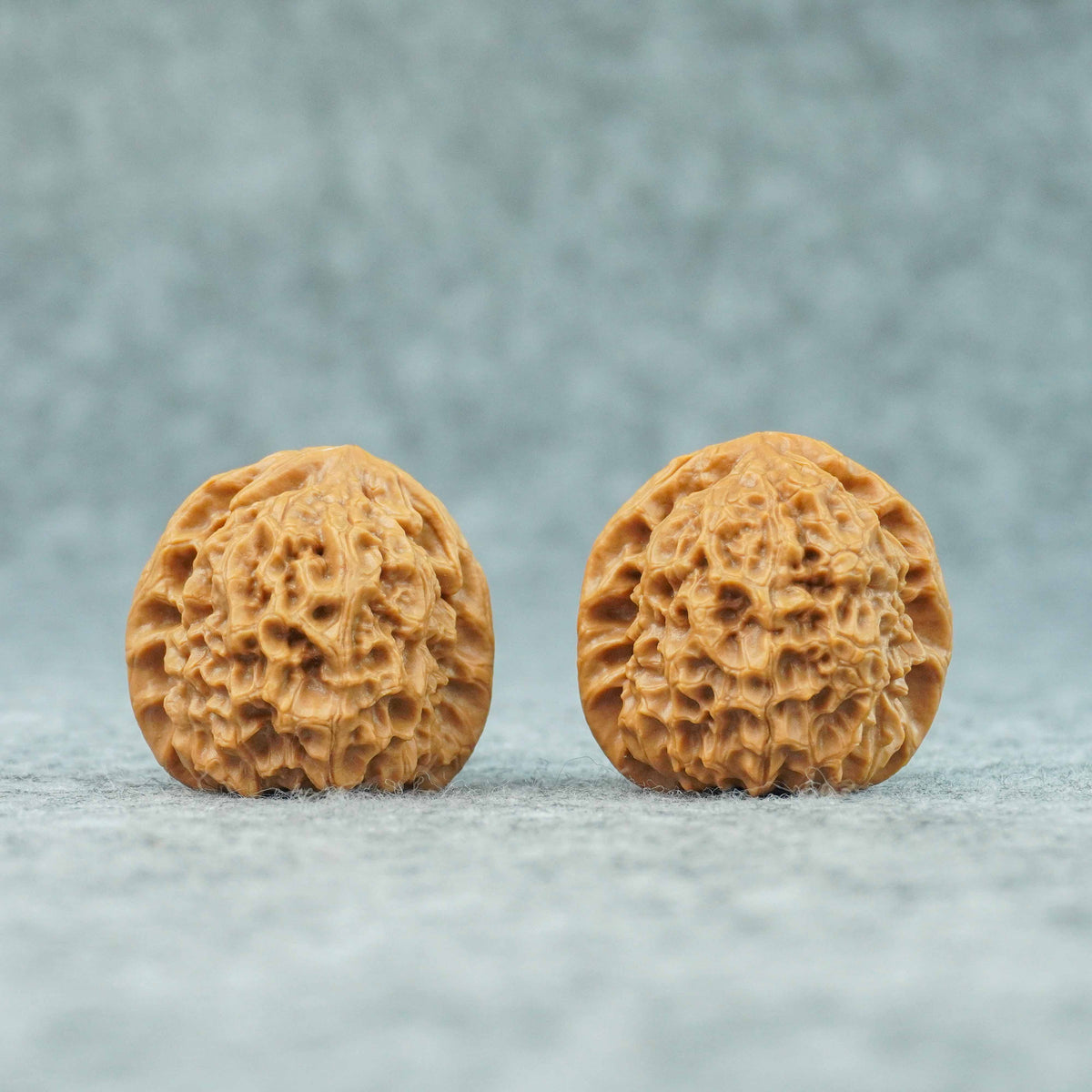 37mm Caviar Pattern Rolling Stone Lion Head Walnut | One-of-a-Kind Listing | 092417
