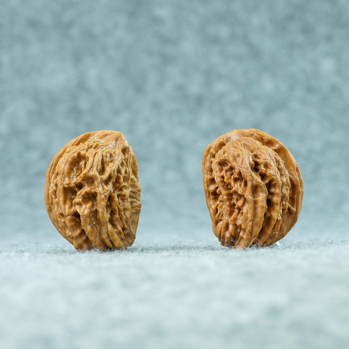 Four Towers Lion Head Half-Wall Walnut (Twin Walnut) – Half of the Empire | One-of-a-Kind Listing |101303