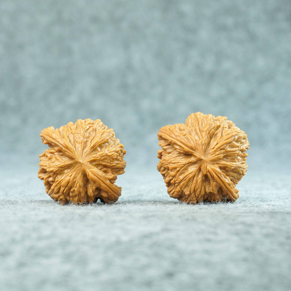 45mm Zhengmo (Mopan) Walnut | One-of-a-Kind Listing | 081401
