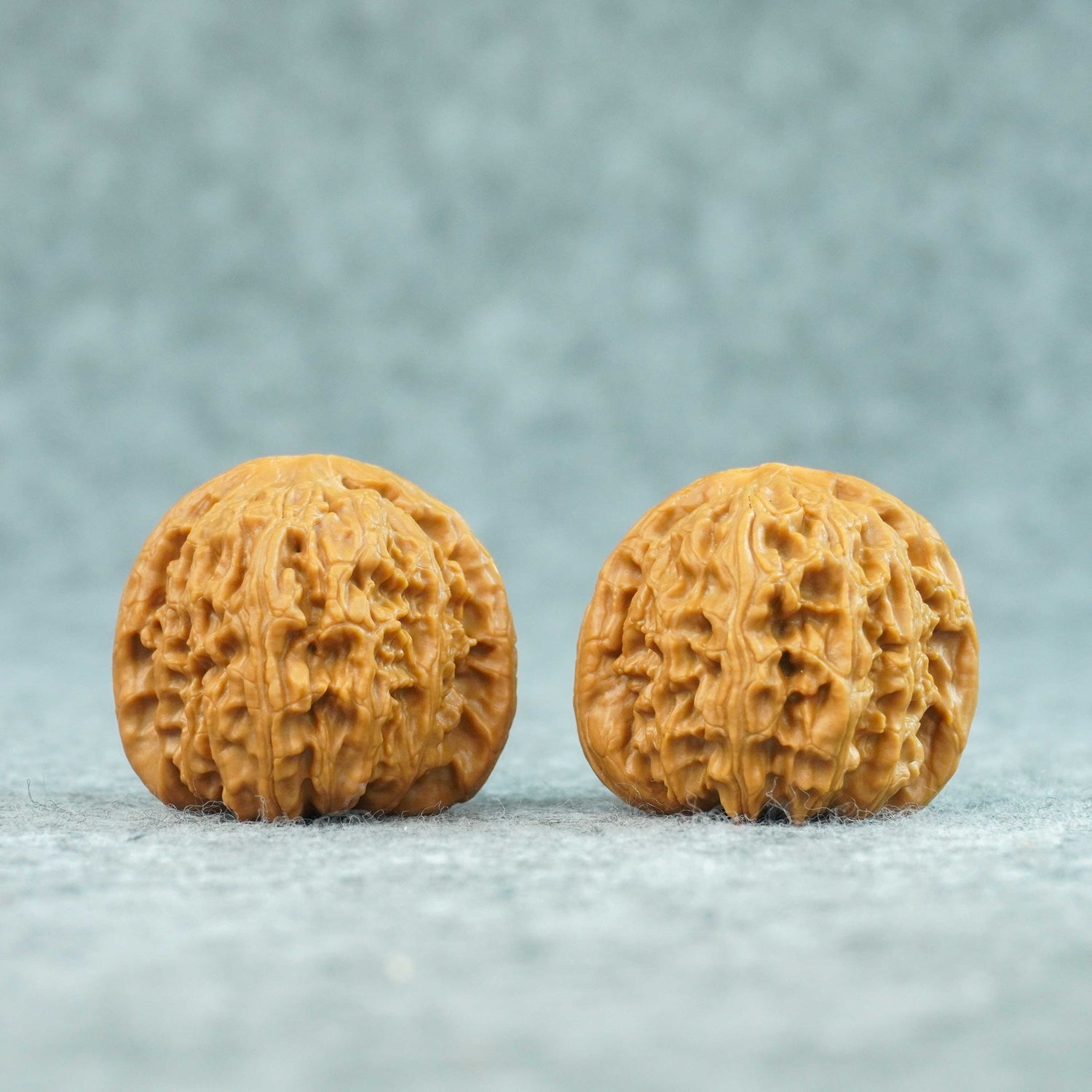 37.5mm White Lion Head Walnut Pair | One-of-a-Kind Listing |072101