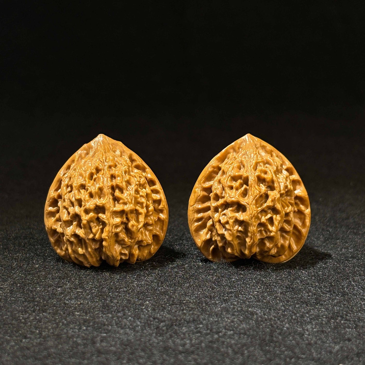 36mm Golden Bull Walnut | One-of-a-Kind Listing | 061301