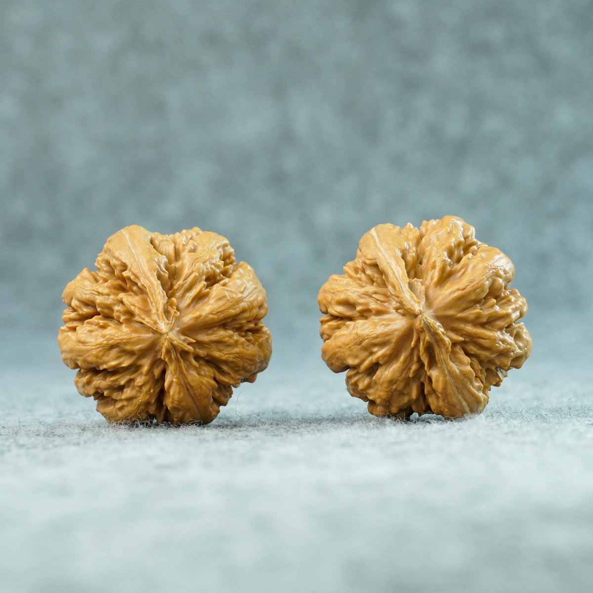 43mm Tyrannosaurus Walnut | One-of-a-Kind Collector Pair | 092004