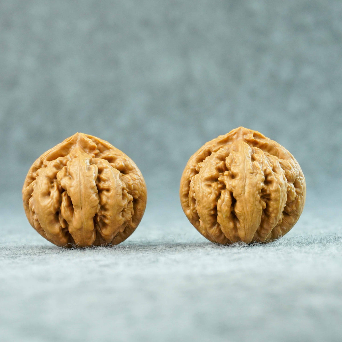 42mm Tyrannosaurus Walnut | One-of-a-Kind Collector Pair | 090708