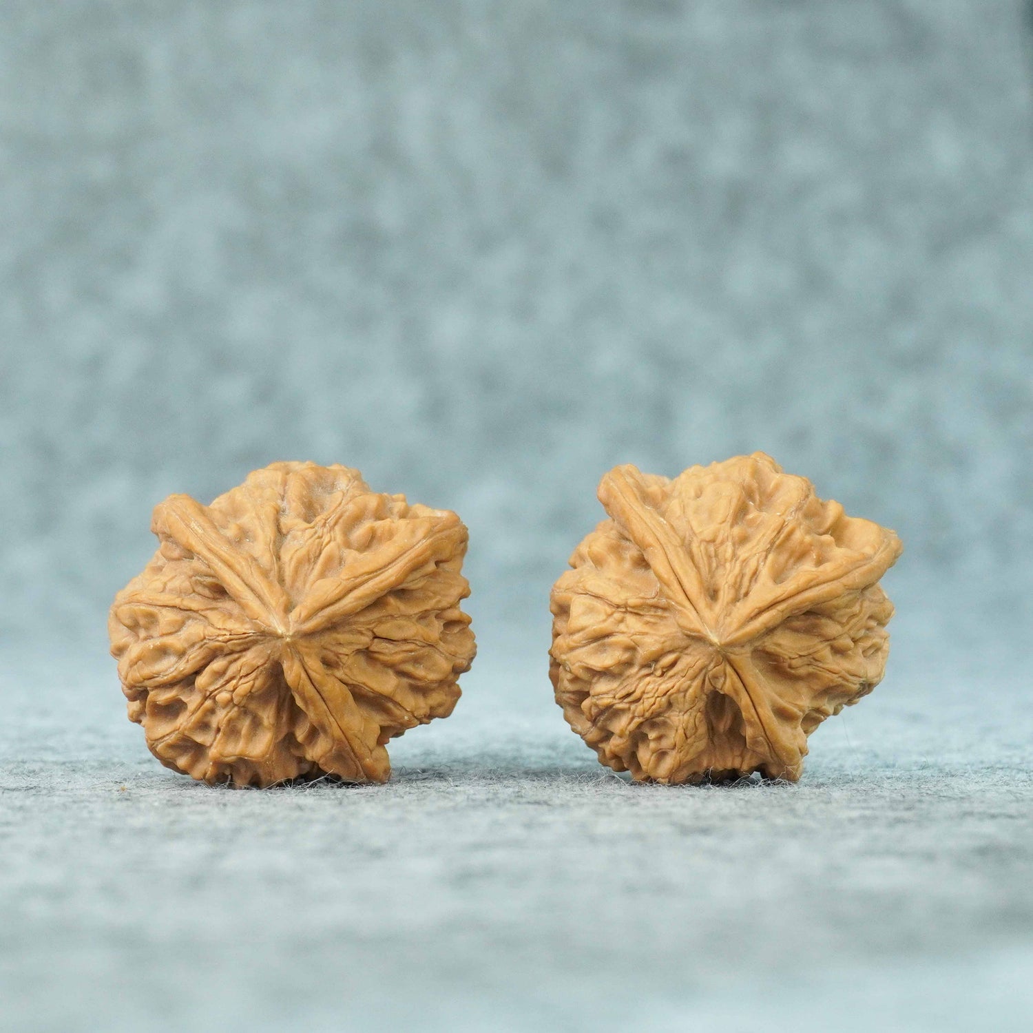40mm Yuxi T-Shaped Three-Ridge Lion Head Walnut | One-of-a-Kind Listing | 071104
