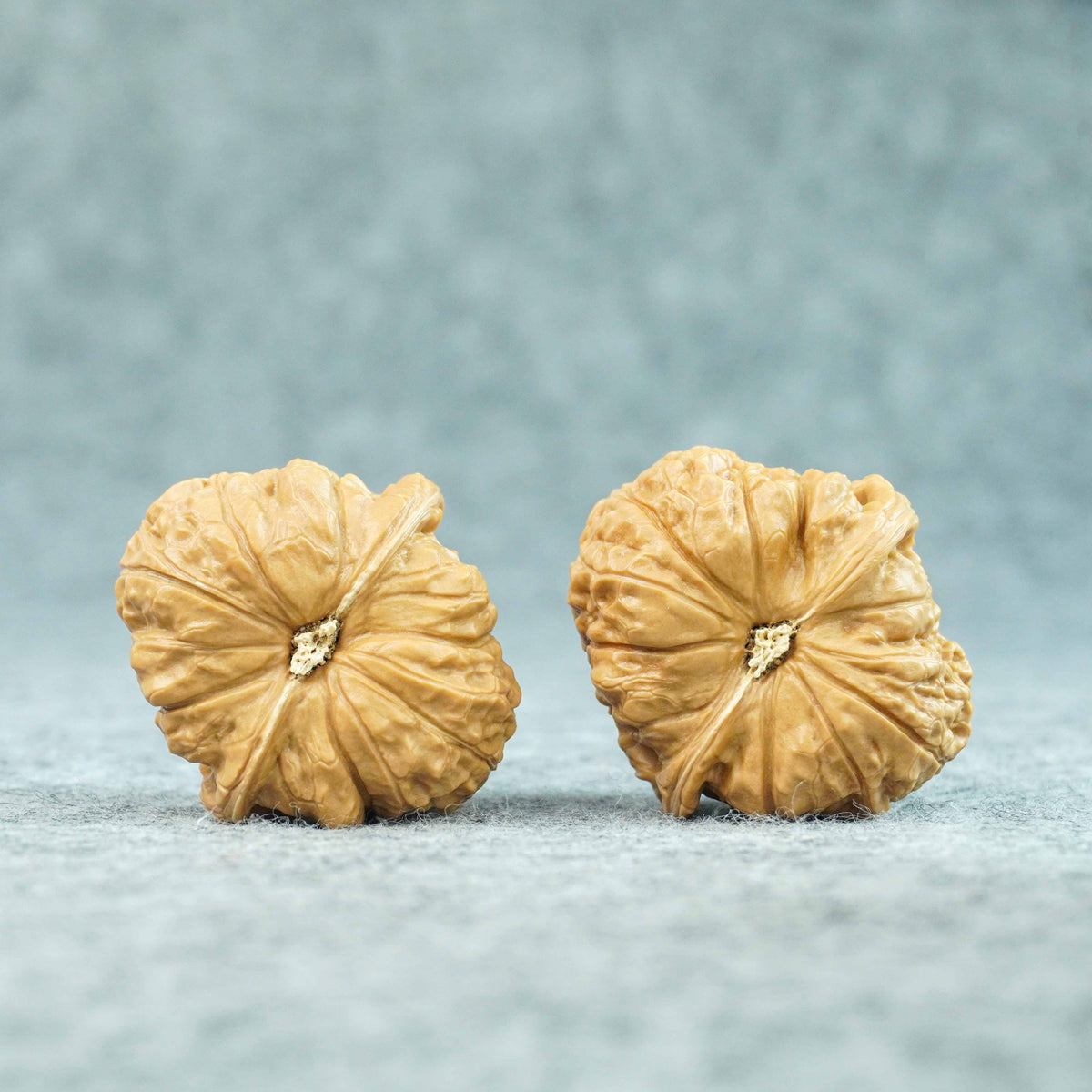 42mm Pumpkin-Form Lion Head Walnut Pair (Nangua Dun) | One-of-a-Kind Matched Pair | 072001
