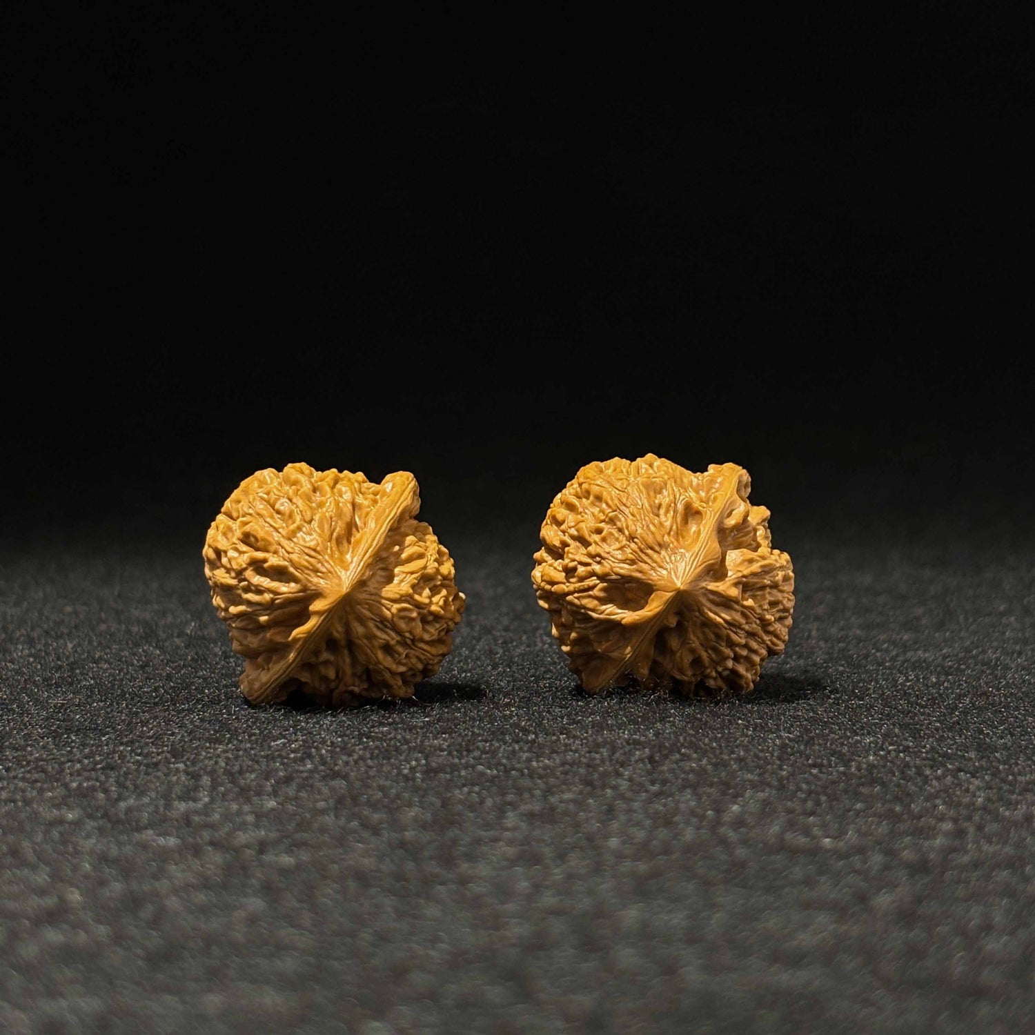 37mm Golden Bull Walnut | One-of-a-Kind Listing