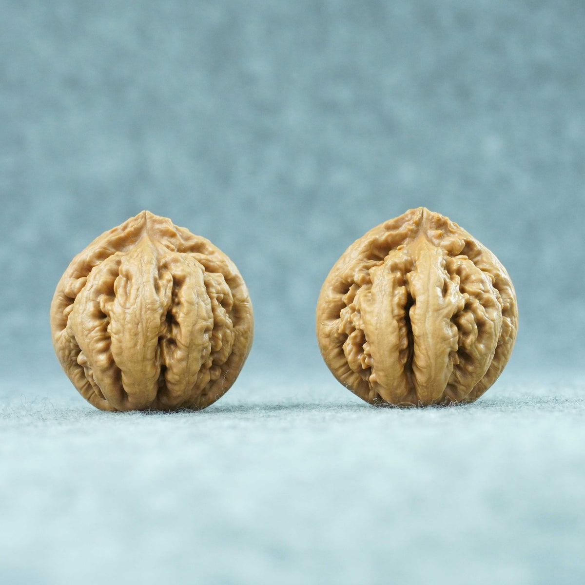 42mm Tyrannosaurus Walnut | One-of-a-Kind Collector Pair |101502