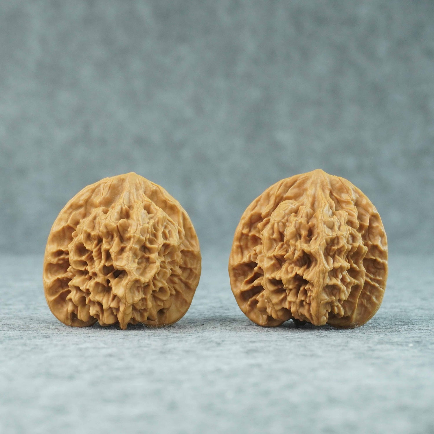 48mm Emperor Lion Head Walnut | One-of-a-Kind Listing | 070206