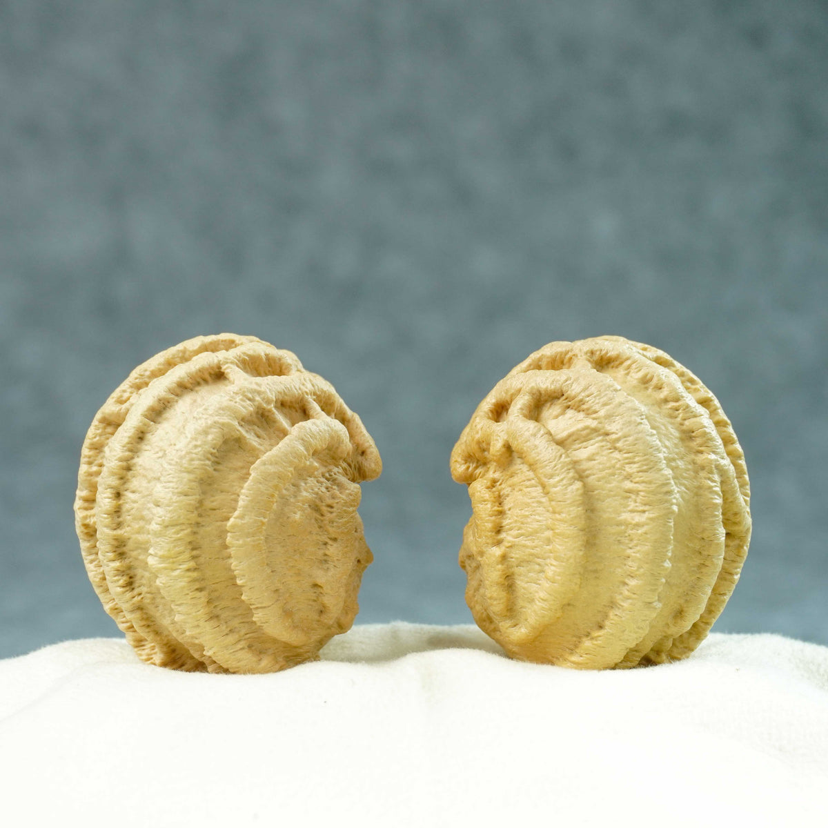 42.5mm Indonesian Qiankun Ghost Face Walnut | One-of-a-Kind Listing |100907