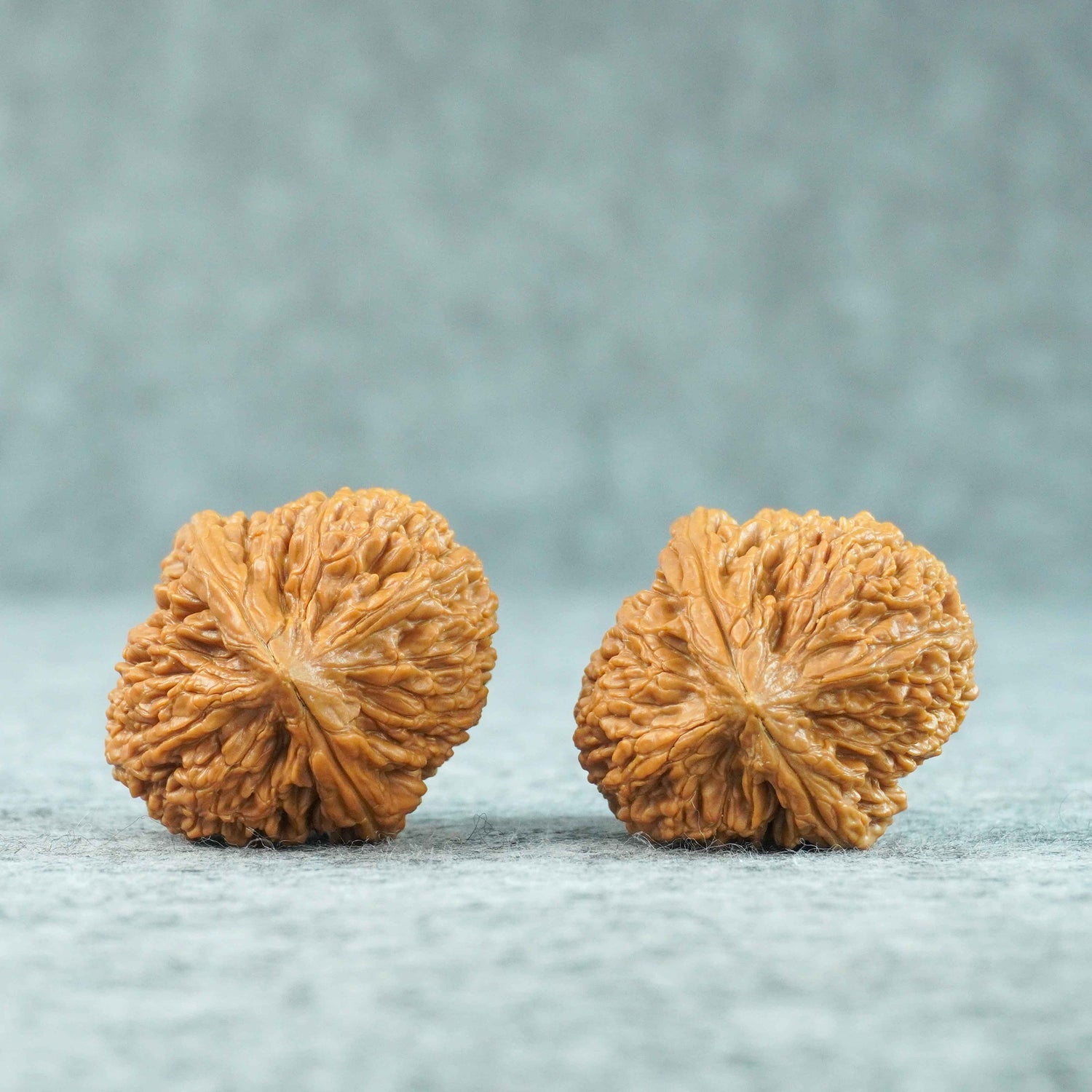36mm Wenwan Walnut Pair | One-of-a-Kind Listing | 070503