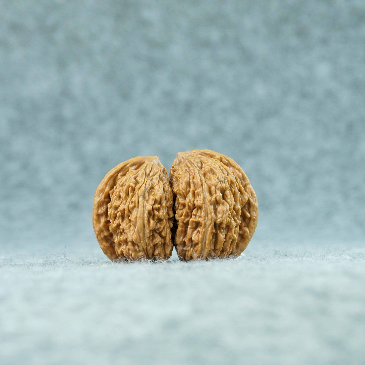 Four Towers Lion Head Half-Wall Walnut (Twin Walnut) – Half of the Empire | One-of-a-Kind Listing |101305
