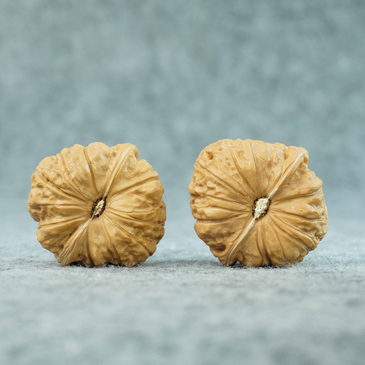 42.5mm Pumpkin-Form Lion Head Walnut Pair (Nangua Dun) | One-of-a-Kind Matched Pair | 081005