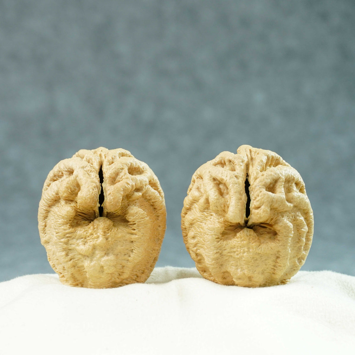 44mm Indonesian Qiankun Ghost Face Walnut | One-of-a-Kind Listing |100909