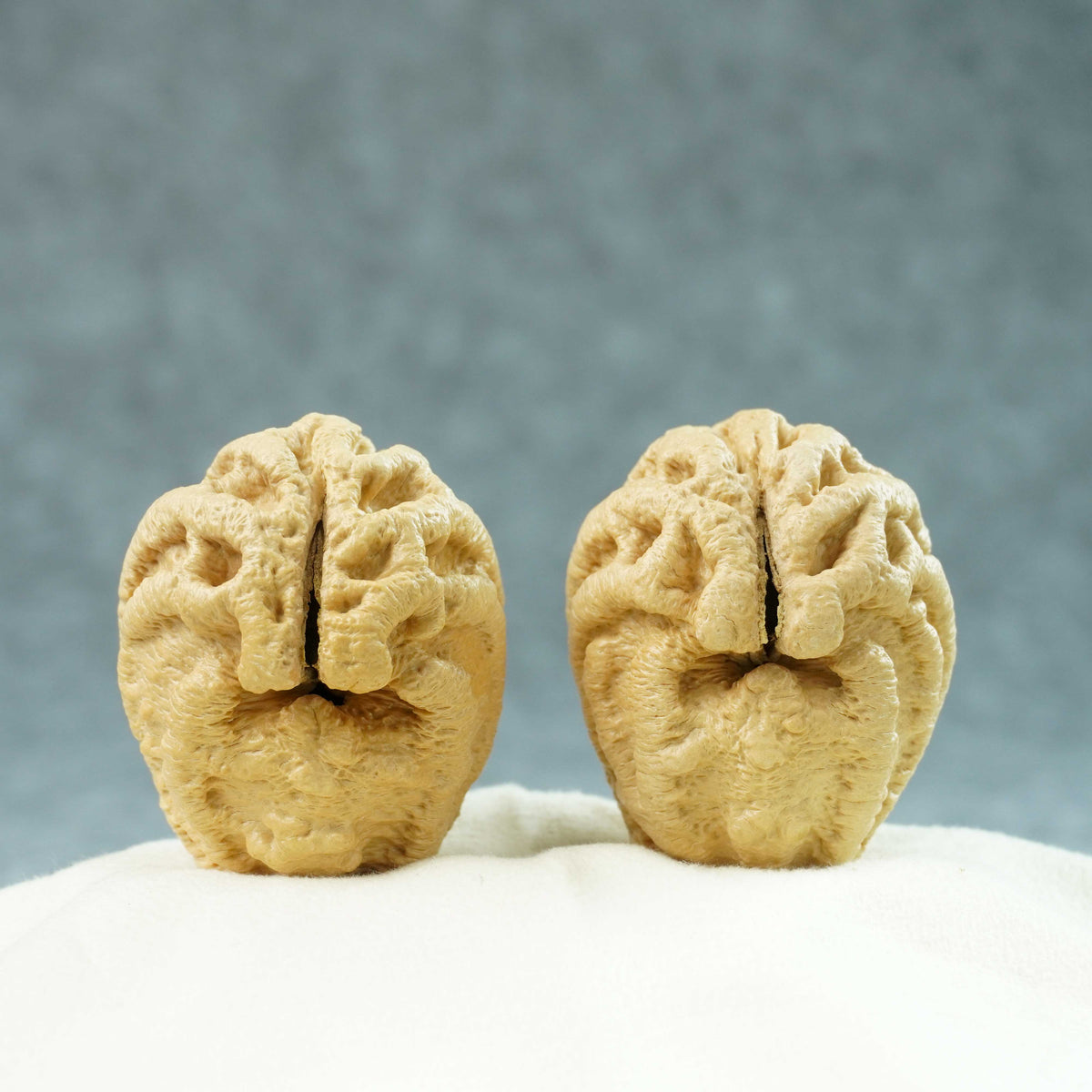 43mm Indonesian Qiankun Ghost Face Walnut | One-of-a-Kind Listing |100901