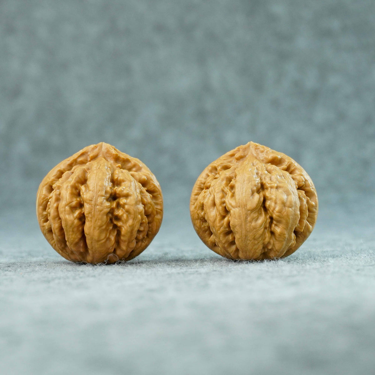 43mm Tyrannosaurus Walnut | One-of-a-Kind Collector Pair | 092006