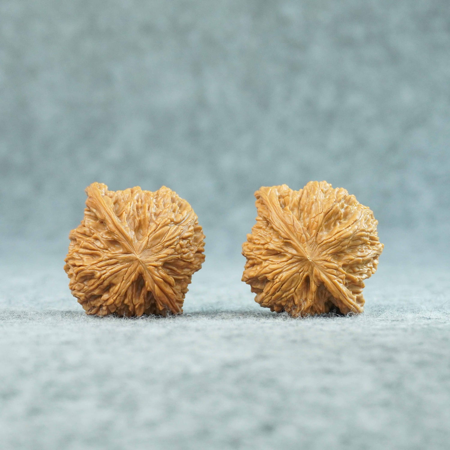 45mm Millstone Lion Head Walnuts | One-of-a-Kind Pair | 081403