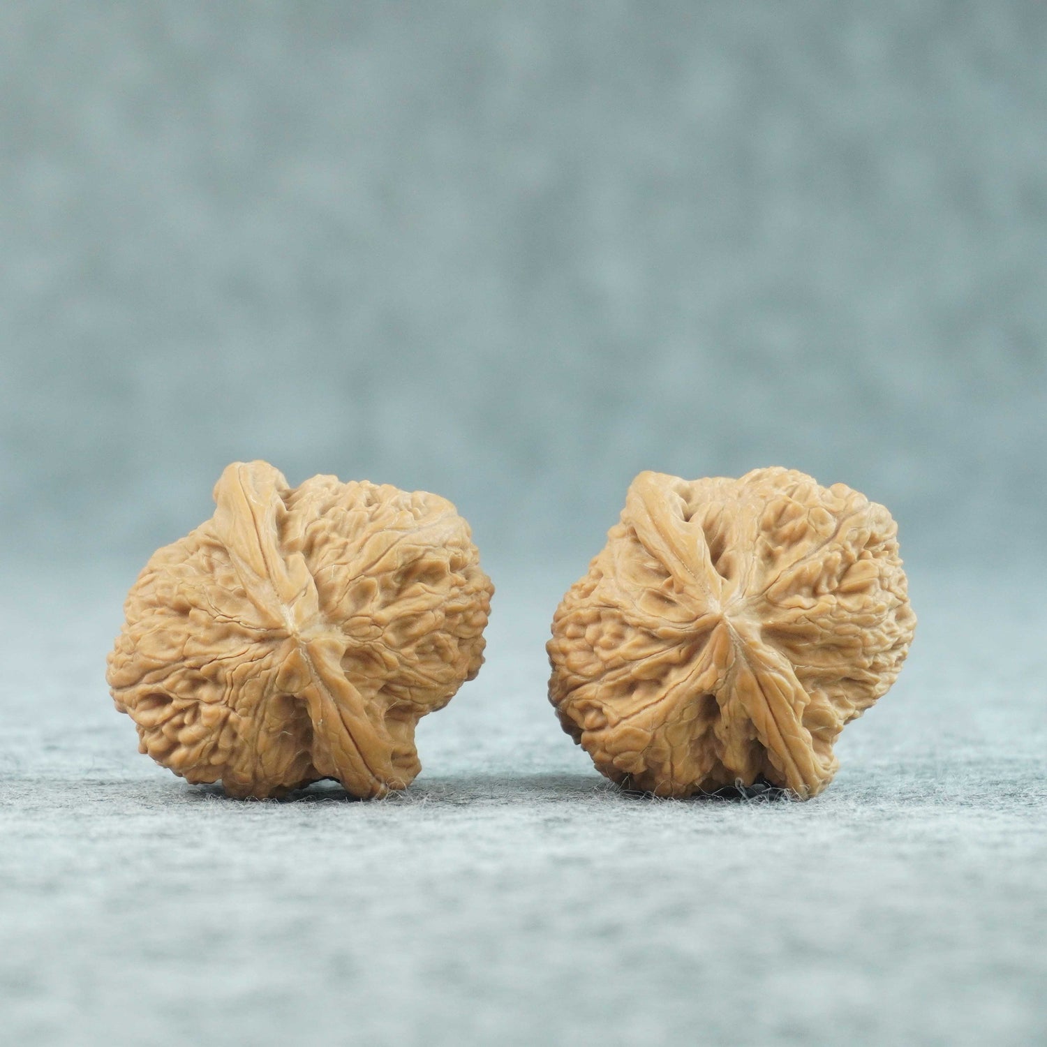 37mm （LV）Ludagun Lion Head Walnut  | One-of-a-Kind Listing | Collector-Grade Matched Pair | 070301